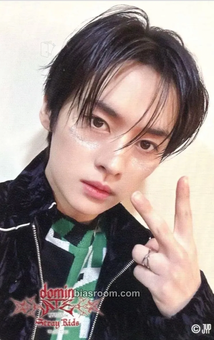 Lee Know DominATE World Tour Photocard - Stray Kids - Stray Kids K-pop photocard