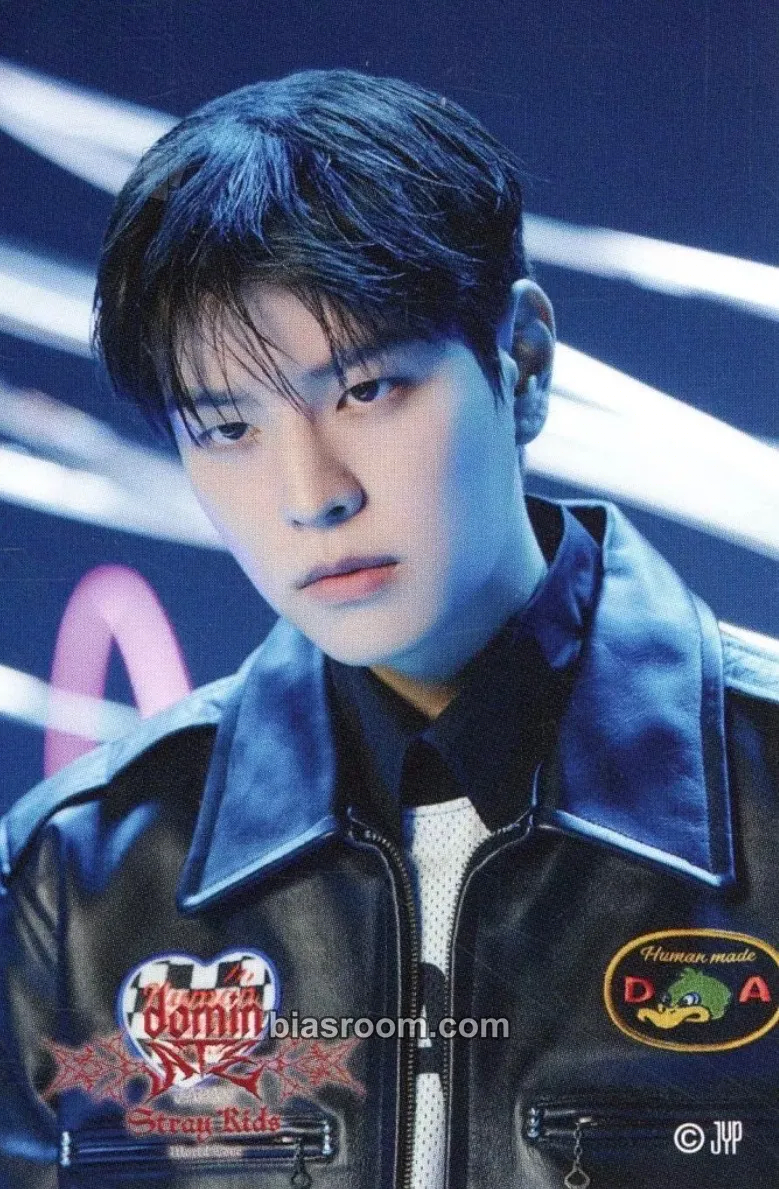 Seungmin DominATE World Tour Photocard - Stray Kids - Stray Kids K-pop photocard