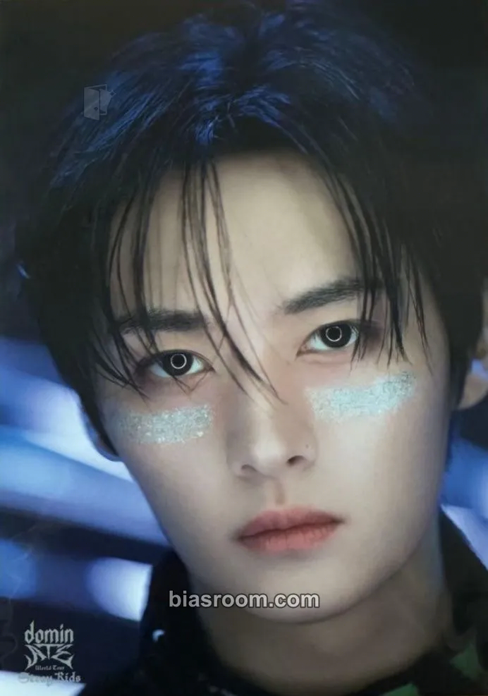 Lee Know DominATE World Tour Photocard - Stray Kids - Stray Kids K-pop photocard
