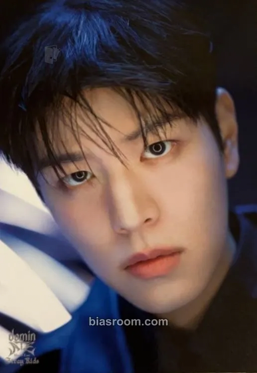 Seungmin DominATE World Tour Photocard - Stray Kids - Stray Kids K-pop photocard