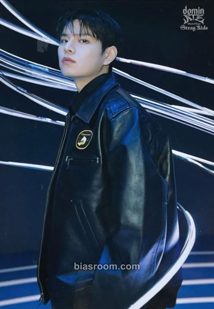 Seungmin DominATE World Tour Photocard - Stray Kids - Stray Kids K-pop photocard