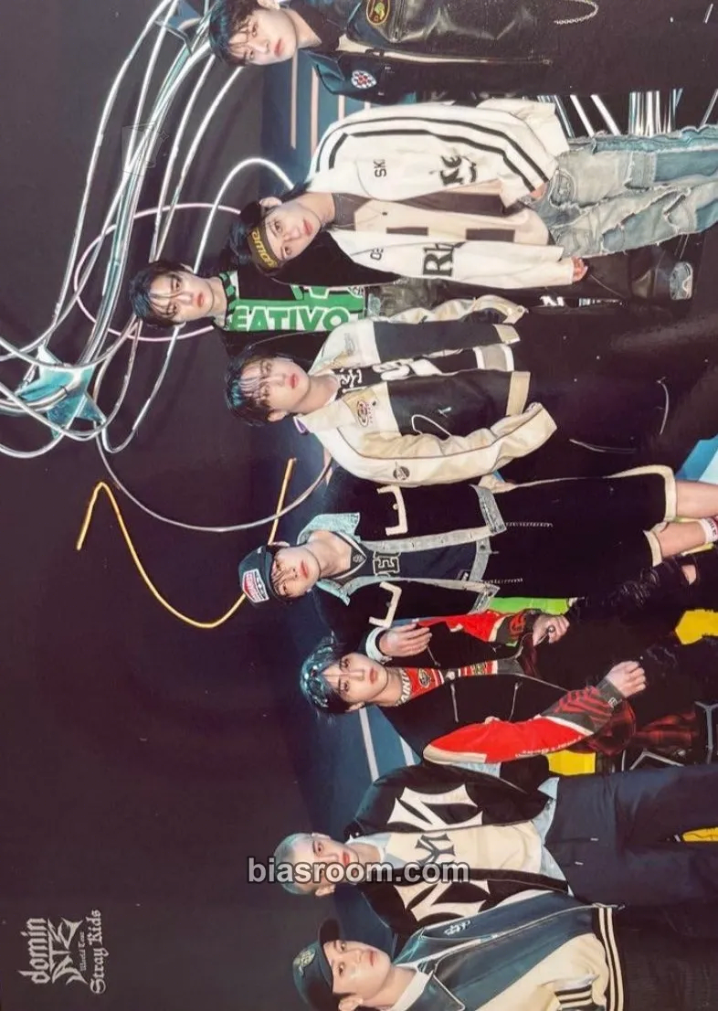 DominATE World Tour Photocard - Stray Kids - Stray Kids K-pop photocard