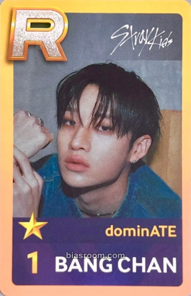 Bang Chan DominATE World Tour Photocard - Stray Kids - Stray Kids K-pop photocard