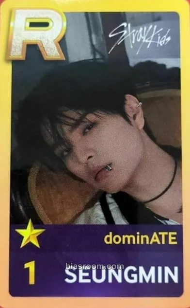 Seungmin DominATE World Tour Photocard - Stray Kids - Stray Kids K-pop photocard