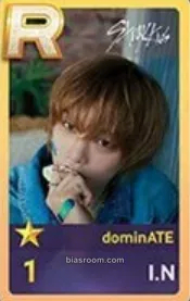 I.N DominATE World Tour Photocard - Stray Kids - Stray Kids K-pop photocard