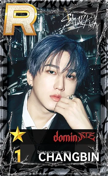 Changbin DominATE World Tour Photocard - Stray Kids - Stray Kids K-pop photocard