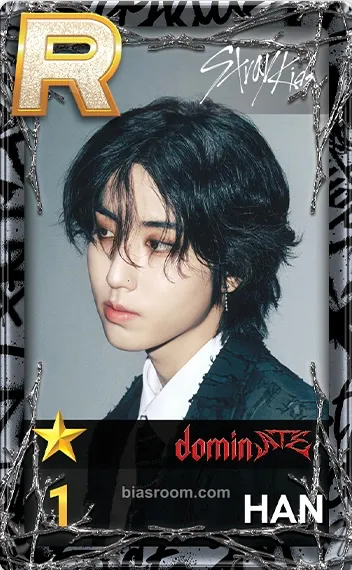 HAN DominATE World Tour Photocard - Stray Kids - Stray Kids K-pop photocard