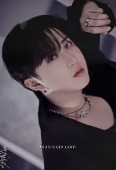 Changbin 5-Star Dome Tour 2023 Photocard - Stray Kids - Stray Kids K-pop photocard