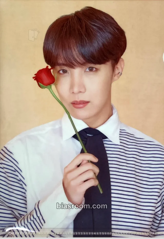 BTS - j-hope - BTS Pop-Up: House of BTS Event japan clear file