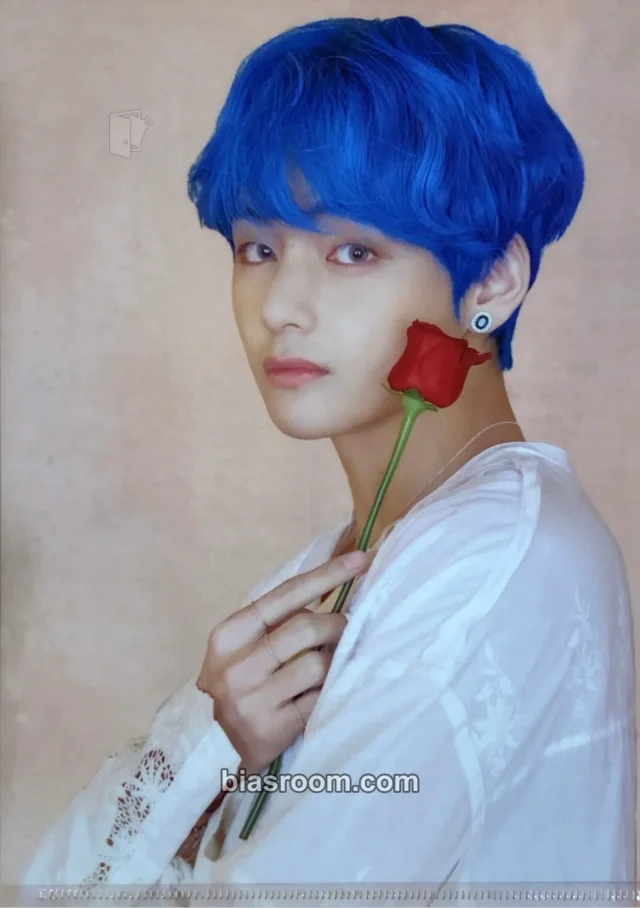 BTS - V - BTS Pop-Up: House of BTS Event japan clear file