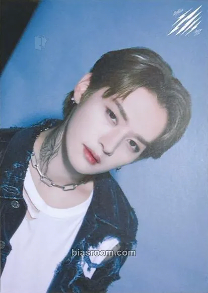 Lee Know Scars Photocard - Stray Kids - Stray Kids K-pop photocard