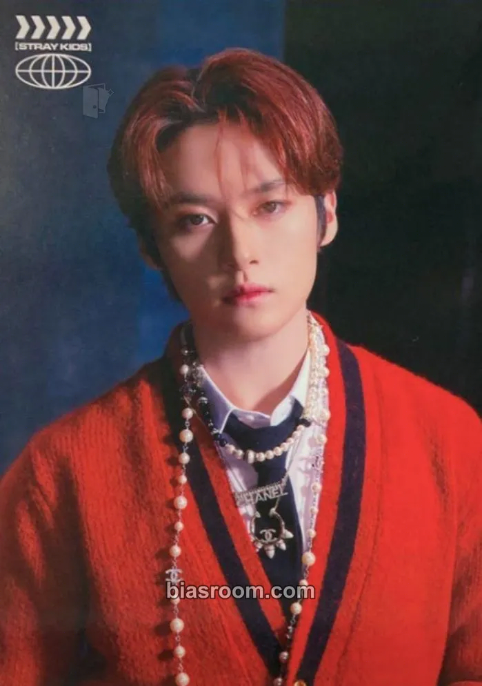 Lee Know Social Path Photocard - Stray Kids - Stray Kids K-pop photocard