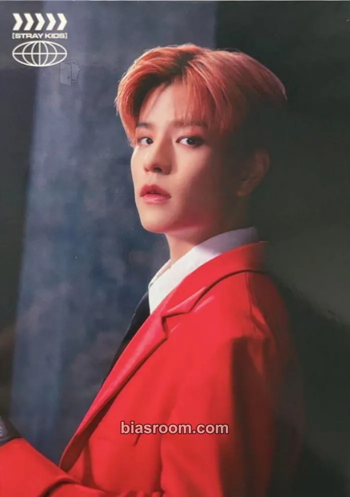 Seungmin Social Path Photocard - Stray Kids - Stray Kids K-pop photocard