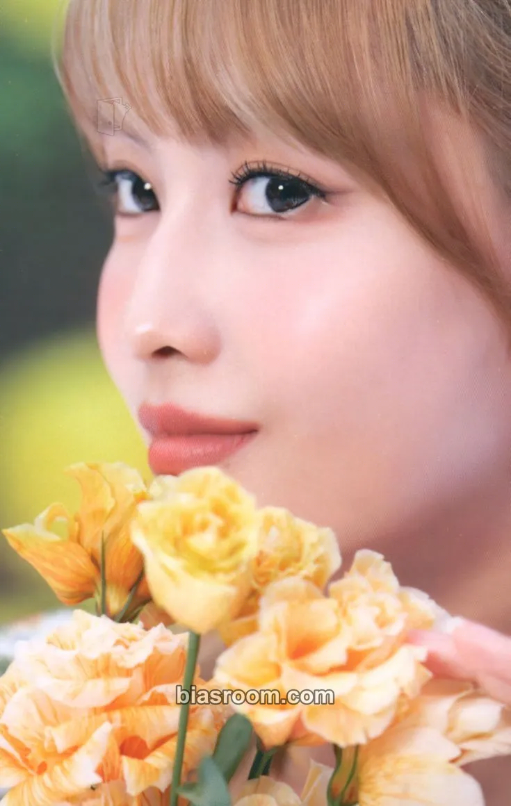 Momo TWICE DICON D'FESTA Mini Edition Photocard - TWICE - TWICE K-pop photocard