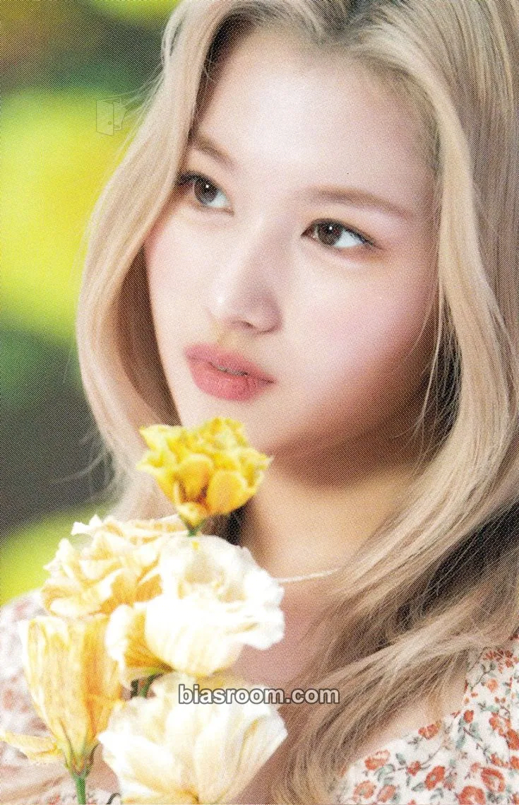 Sana TWICE DICON D'FESTA Mini Edition Photocard - TWICE - TWICE K-pop photocard