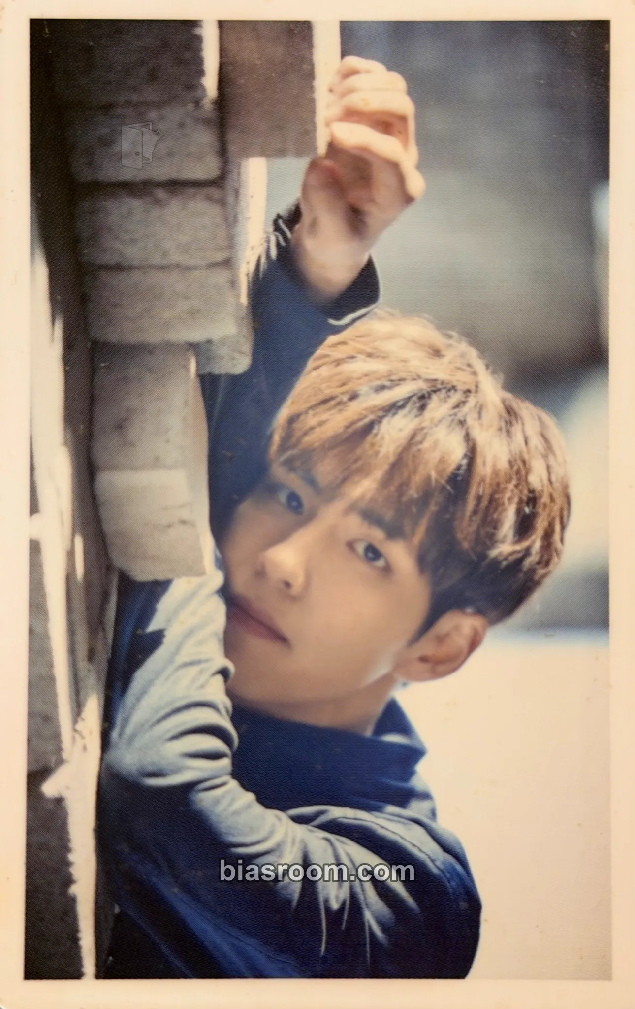 Wonpil Stop the Rain Photocard - DAY6 - DAY6 K-pop photocard
