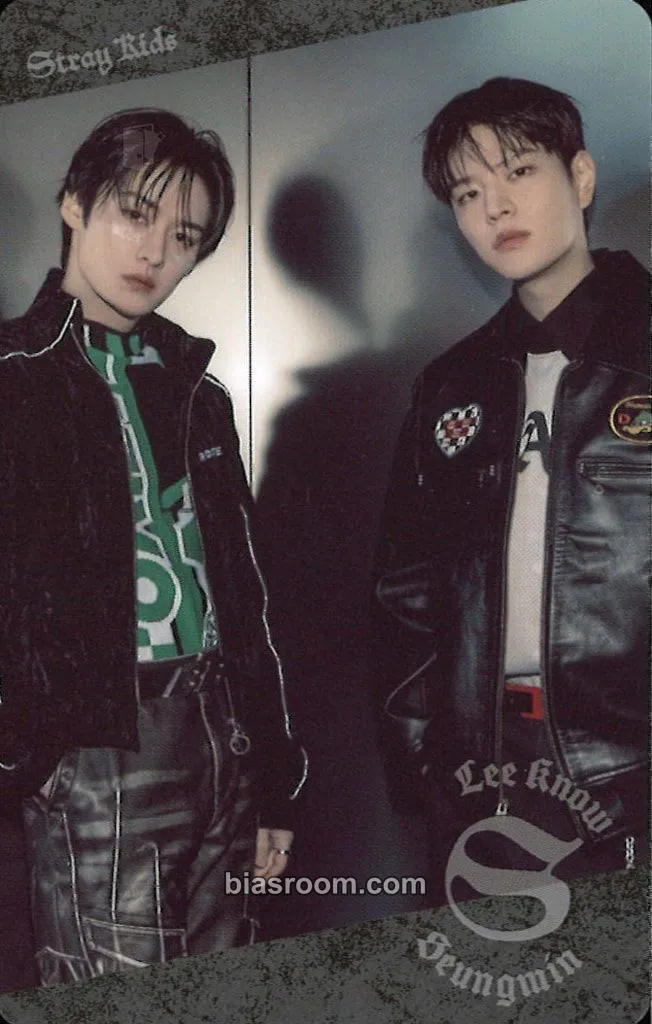 DominATE World Tour Photocard - Stray Kids - Stray Kids K-pop photocard