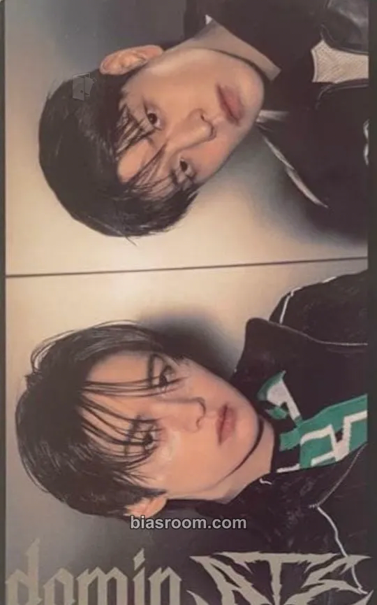 DominATE World Tour Photocard - Stray Kids - Stray Kids K-pop photocard