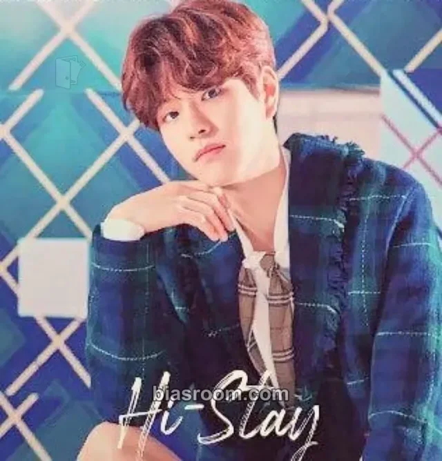 Stray Kids - Seungmin - Japan Showcase 2019 “Hi-STAY” Event jpfc (japan fanclub) lottery sticker japan