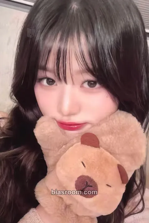 Wonyoung IVE SWITCH Photocard - IVE - IVE K-pop photocard