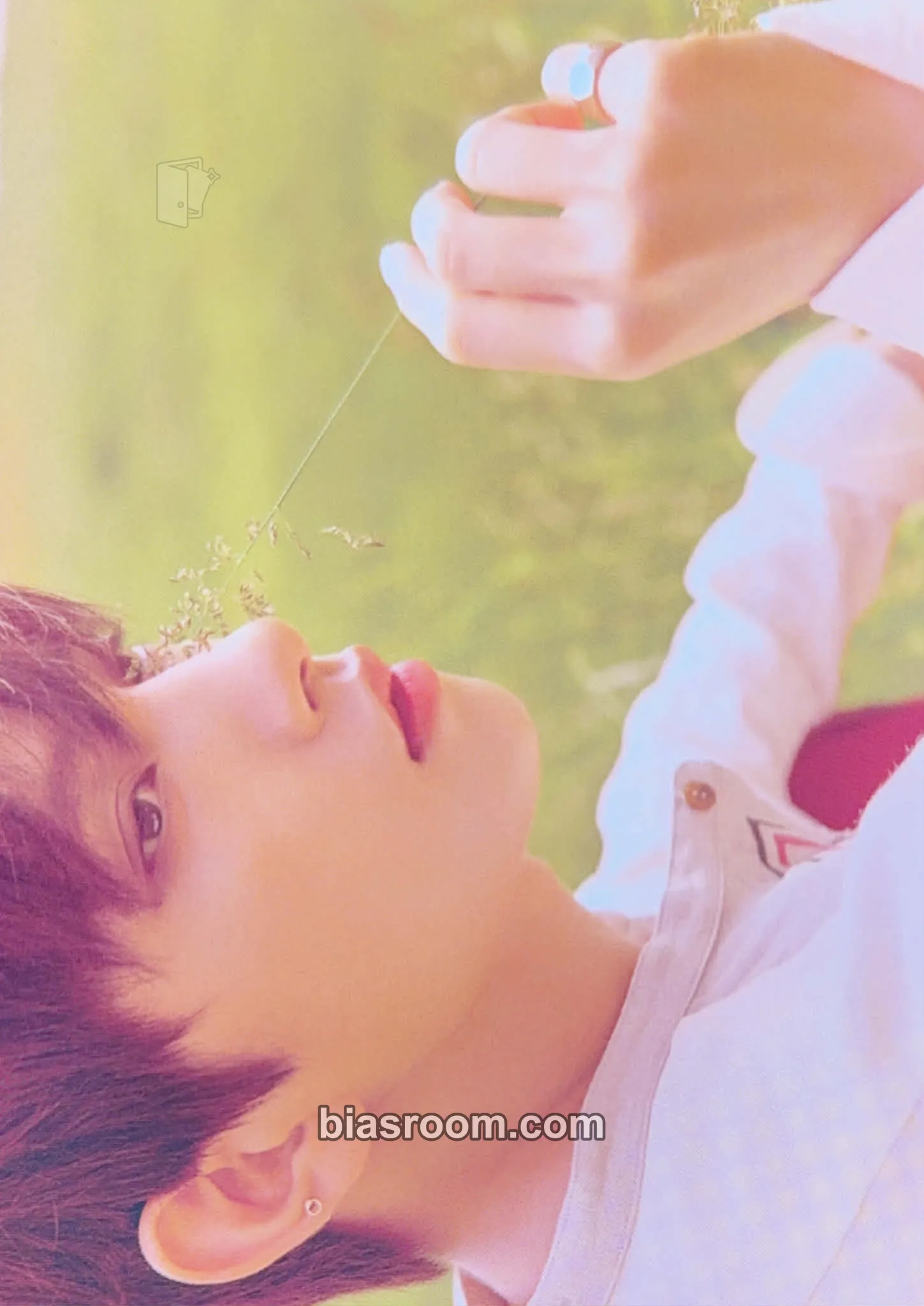 Joshua You Make My Day Photocard - SEVENTEEN - SEVENTEEN K-pop photocard