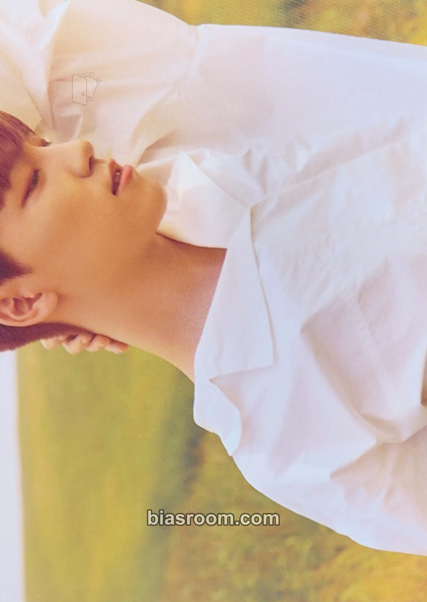 Dino You Make My Day Photocard - SEVENTEEN - SEVENTEEN K-pop photocard