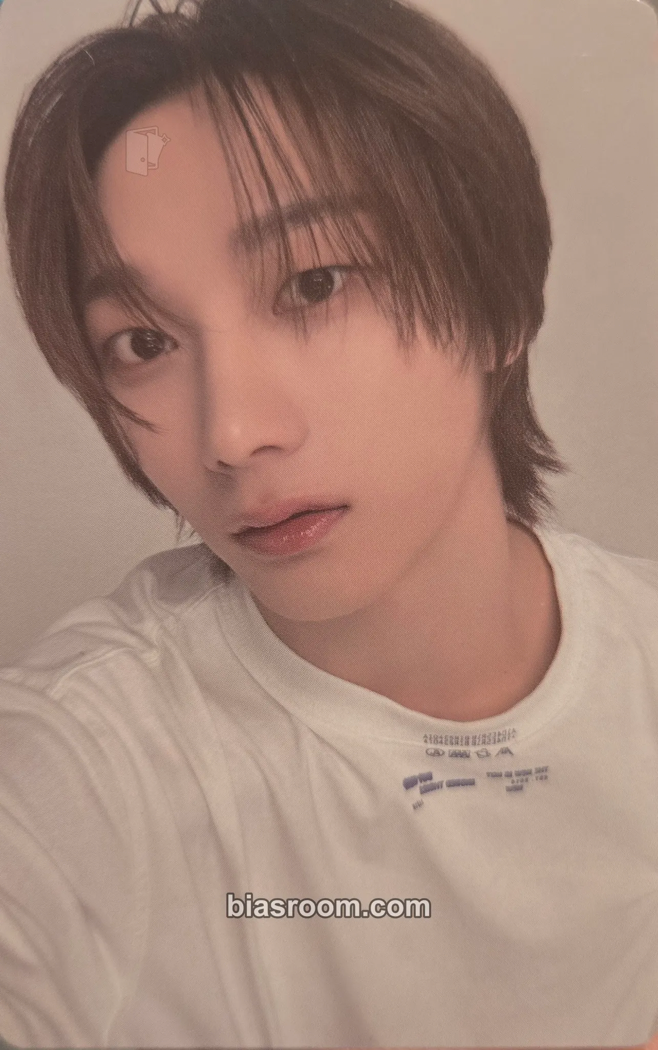 Sungho 19.99 Photocard - BOYNEXTDOOR - BOYNEXTDOOR K-pop photocard