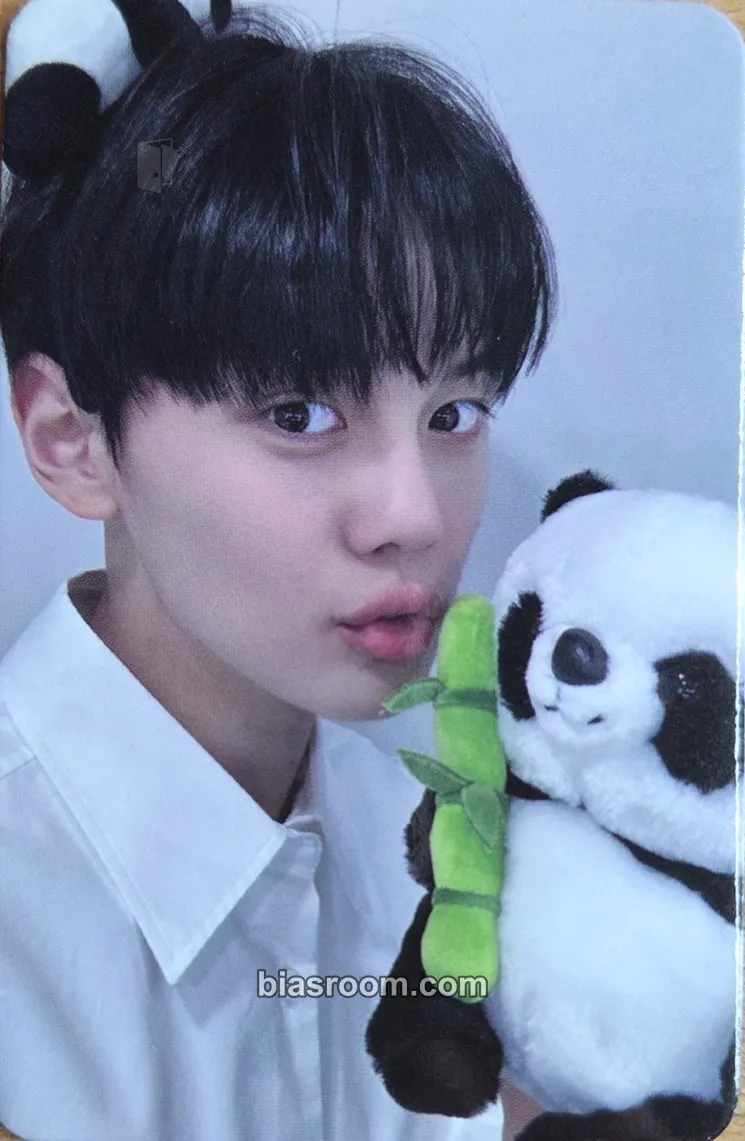 Gyuvin You Had Me at Hello Photocard - ZEROBASEONE - ZEROBASEONE K-pop photocard