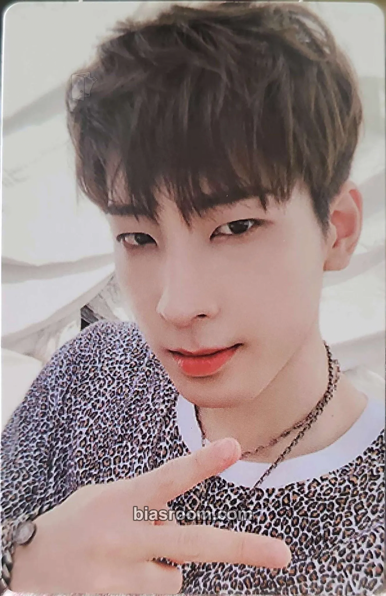 Wonwoo An Ode Photocard - SEVENTEEN - SEVENTEEN K-pop photocard