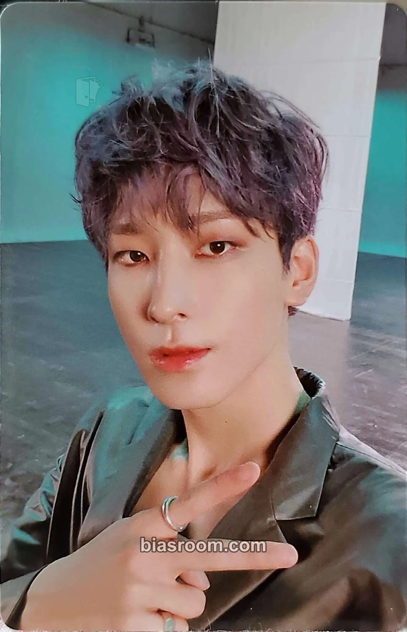 Wonwoo An Ode Photocard - SEVENTEEN - SEVENTEEN K-pop photocard