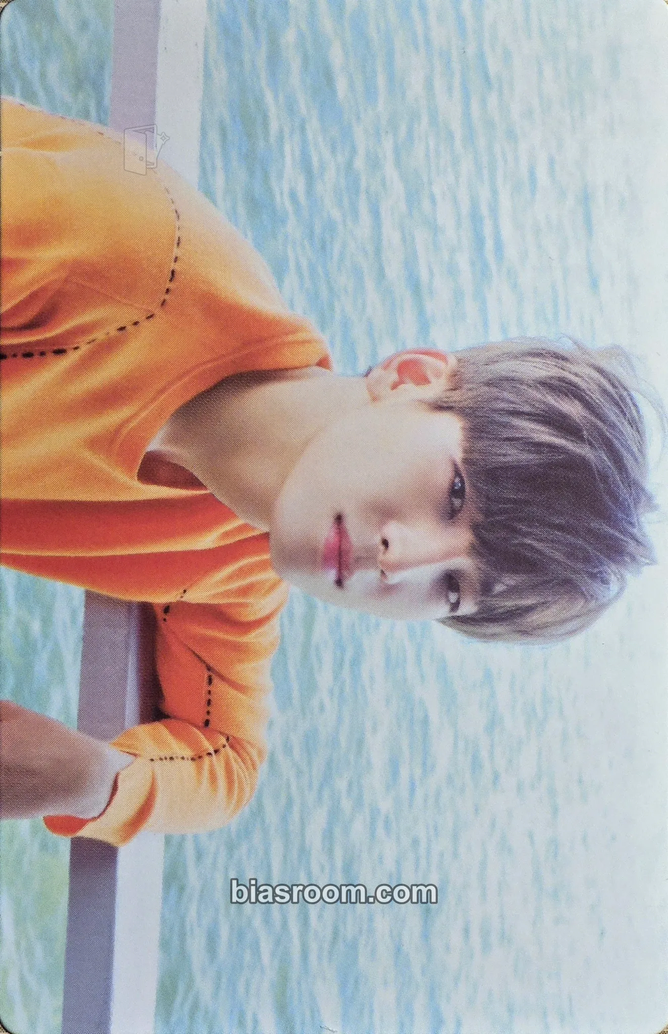 Wonwoo TEEN,AGE Photocard - SEVENTEEN - photocard K-pop SEVENTEEN