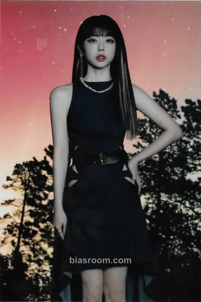 Loossemble - ViVi - Loona Assemble: the U.S. Debut Ceremony Event raw photo vip ticket benefit