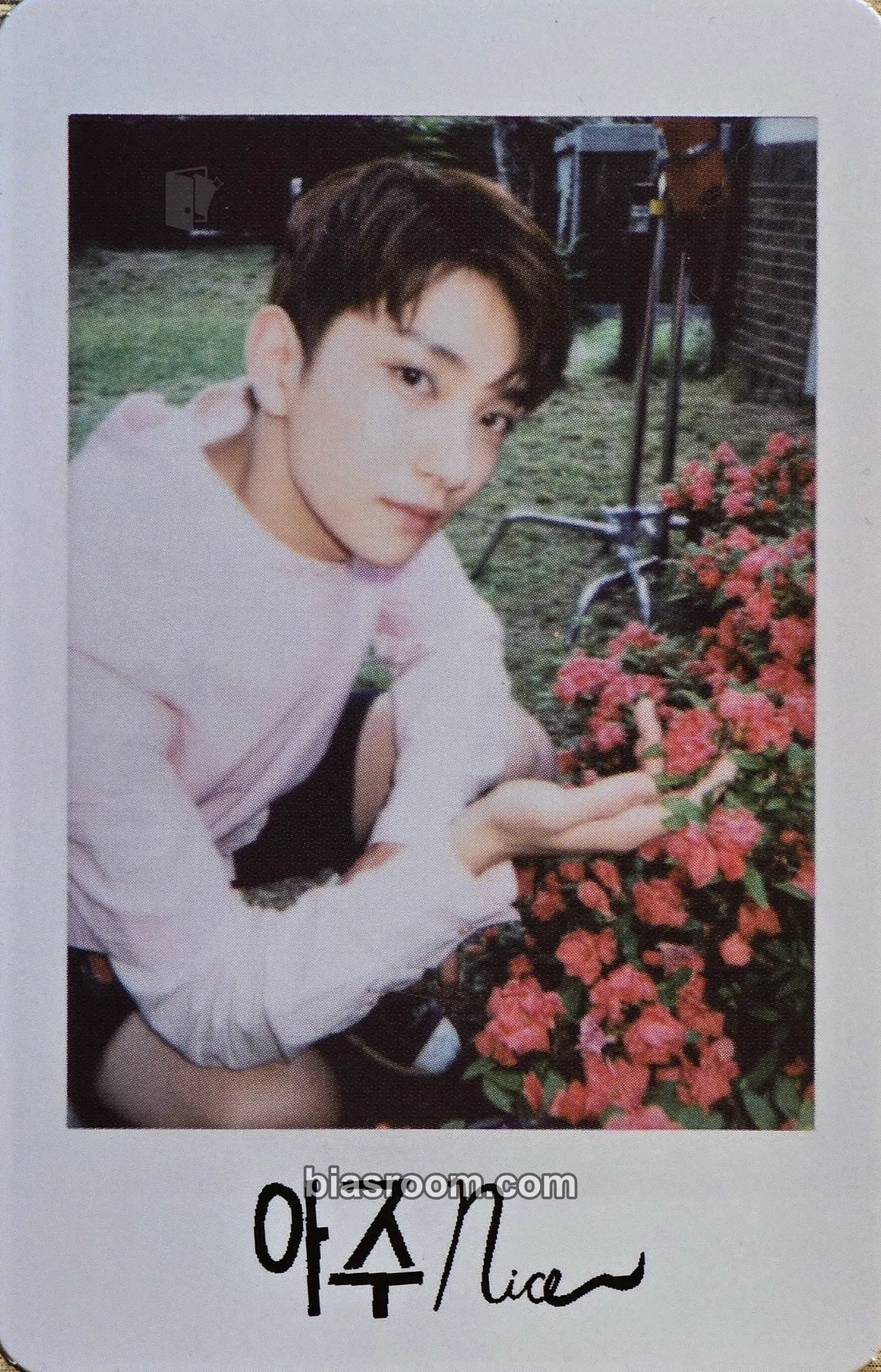 Joshua Love&Letter Repackage Photocard - SEVENTEEN - photocard K-pop di SEVENTEEN