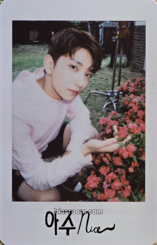 SEVENTEEN - Joshua - Love&Letter Repackage Album album photocard korean album