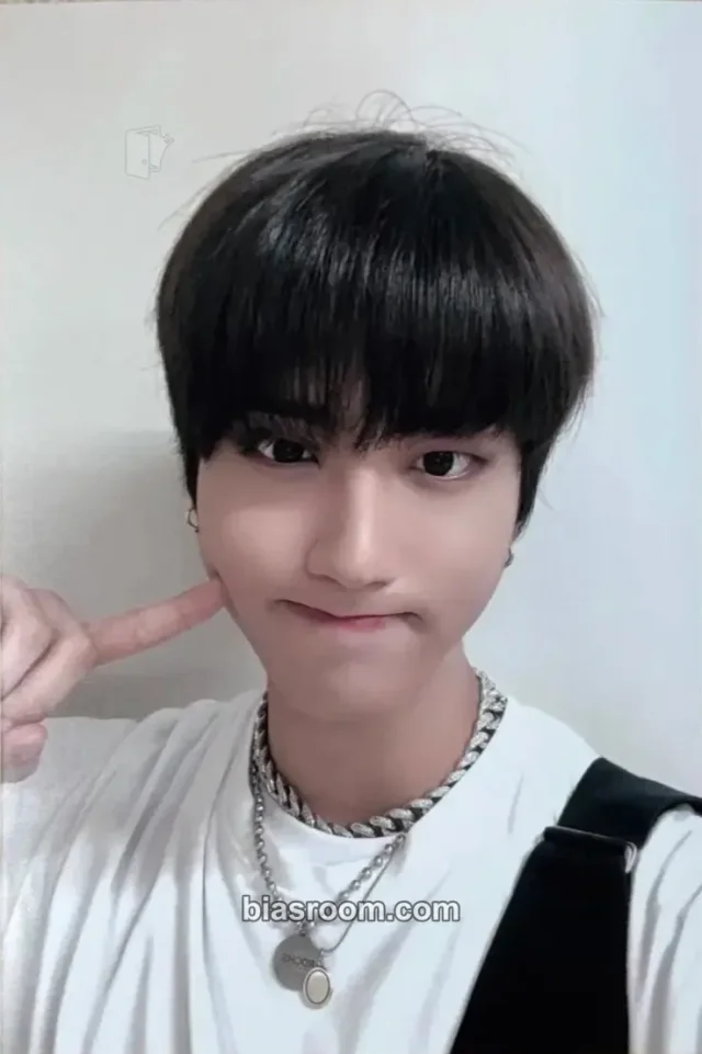 Stray Kids - HAN - SBS Gayo Daejeon Event broadcast gift 2019 version