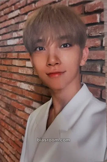 Joshua An Ode Photocard - SEVENTEEN - SEVENTEEN K-pop photocard
