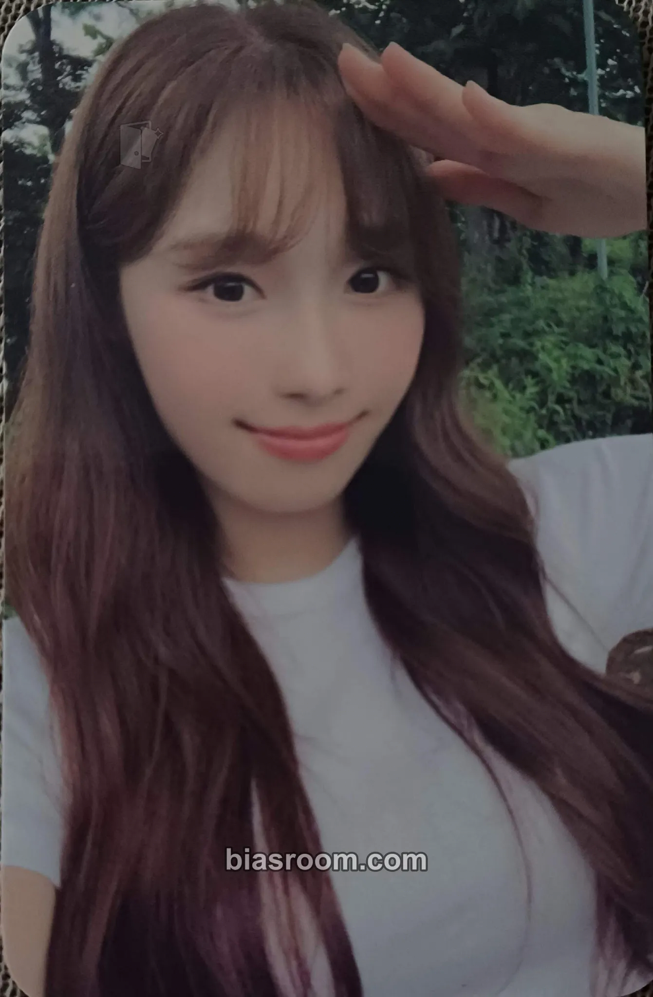 Chaesol Us in the Summer Photocard - cignature - cignature K-pop photocard