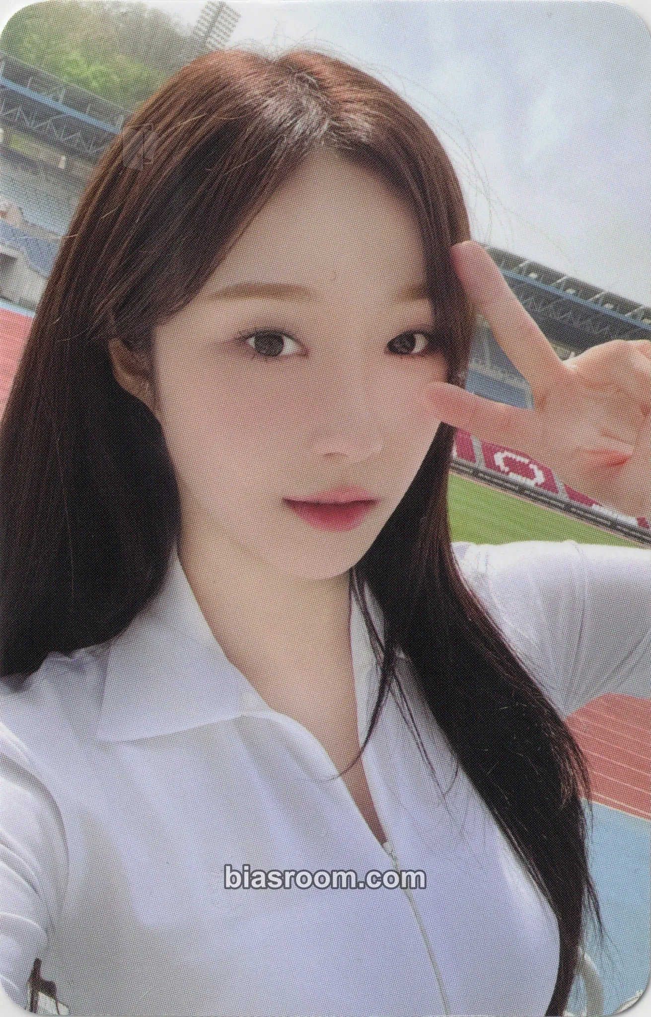 Chaesol Sweetie but Saltie Photocard - cignature - cignature K-pop photocard