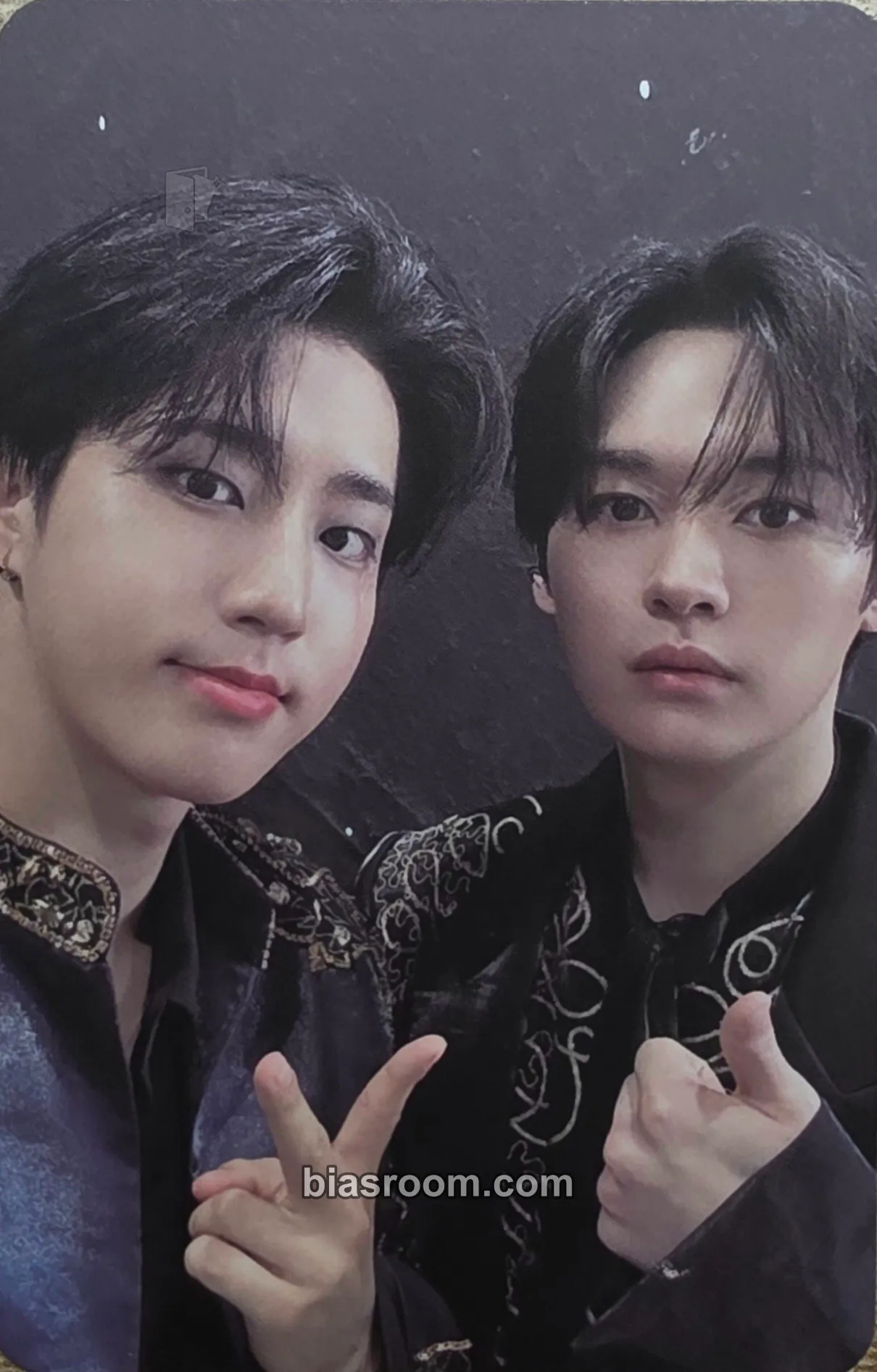 2026 Japan Season's Greetings - Force Photocard - Stray Kids - Stray Kids K-pop photocard