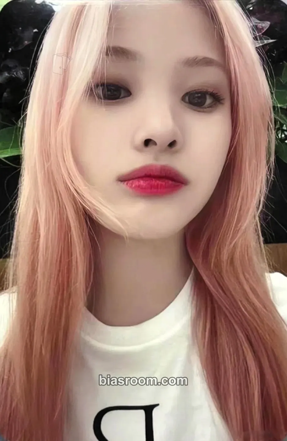 Jini 1st Official Merchandise Photocard - NMIXX - NMIXX K-pop photocard