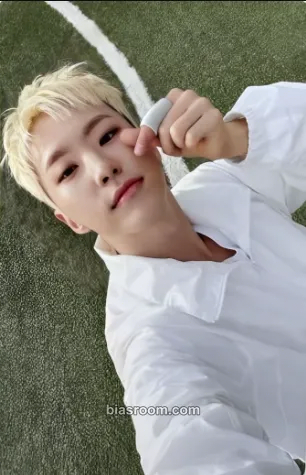 Hoshi Teleparty Photocard - SEVENTEEN - SEVENTEEN K-pop photocard