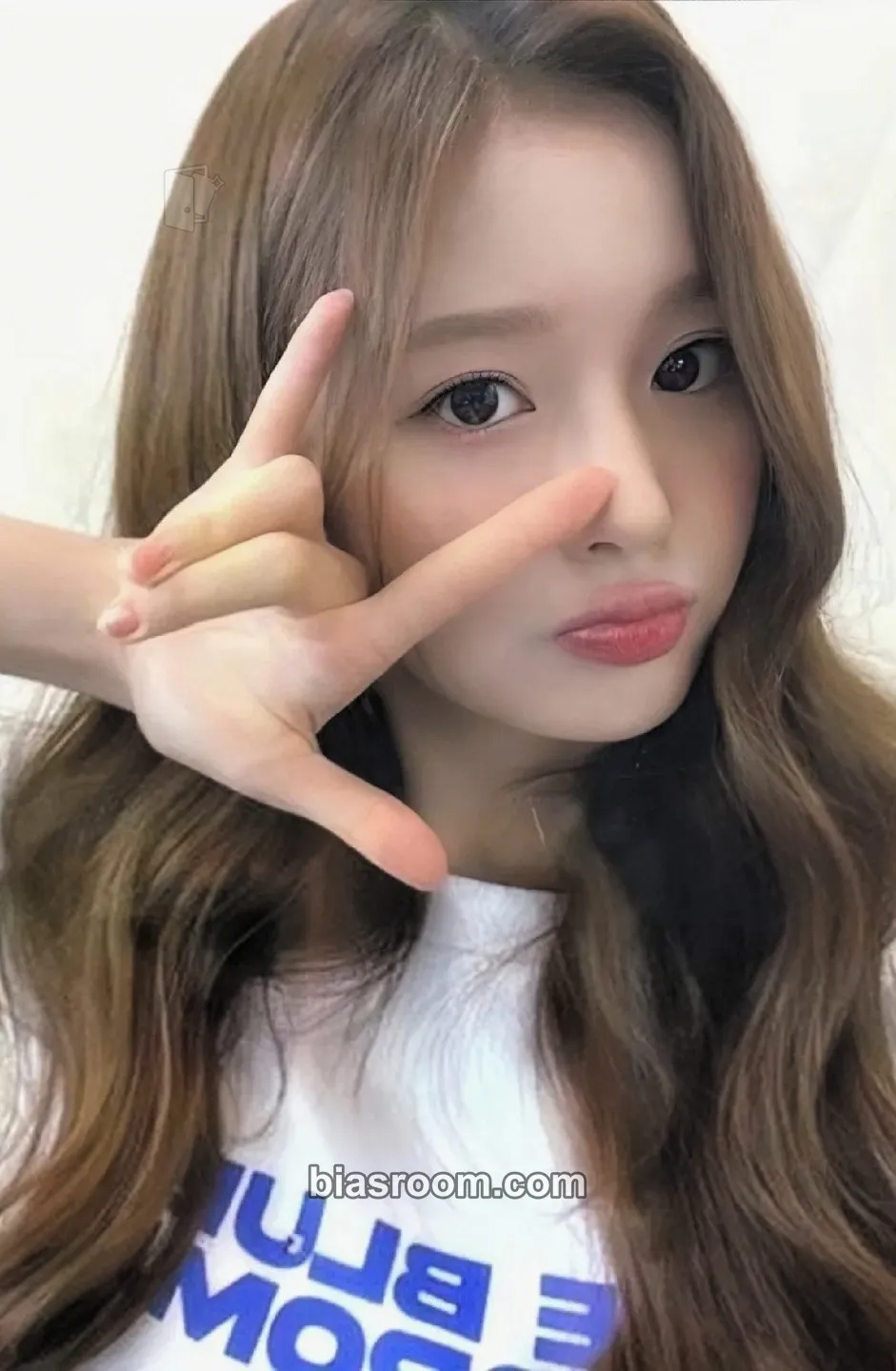 Sullyoon MIXXPEDIA : PICK LA Photocard - NMIXX - NMIXX K-pop photocard