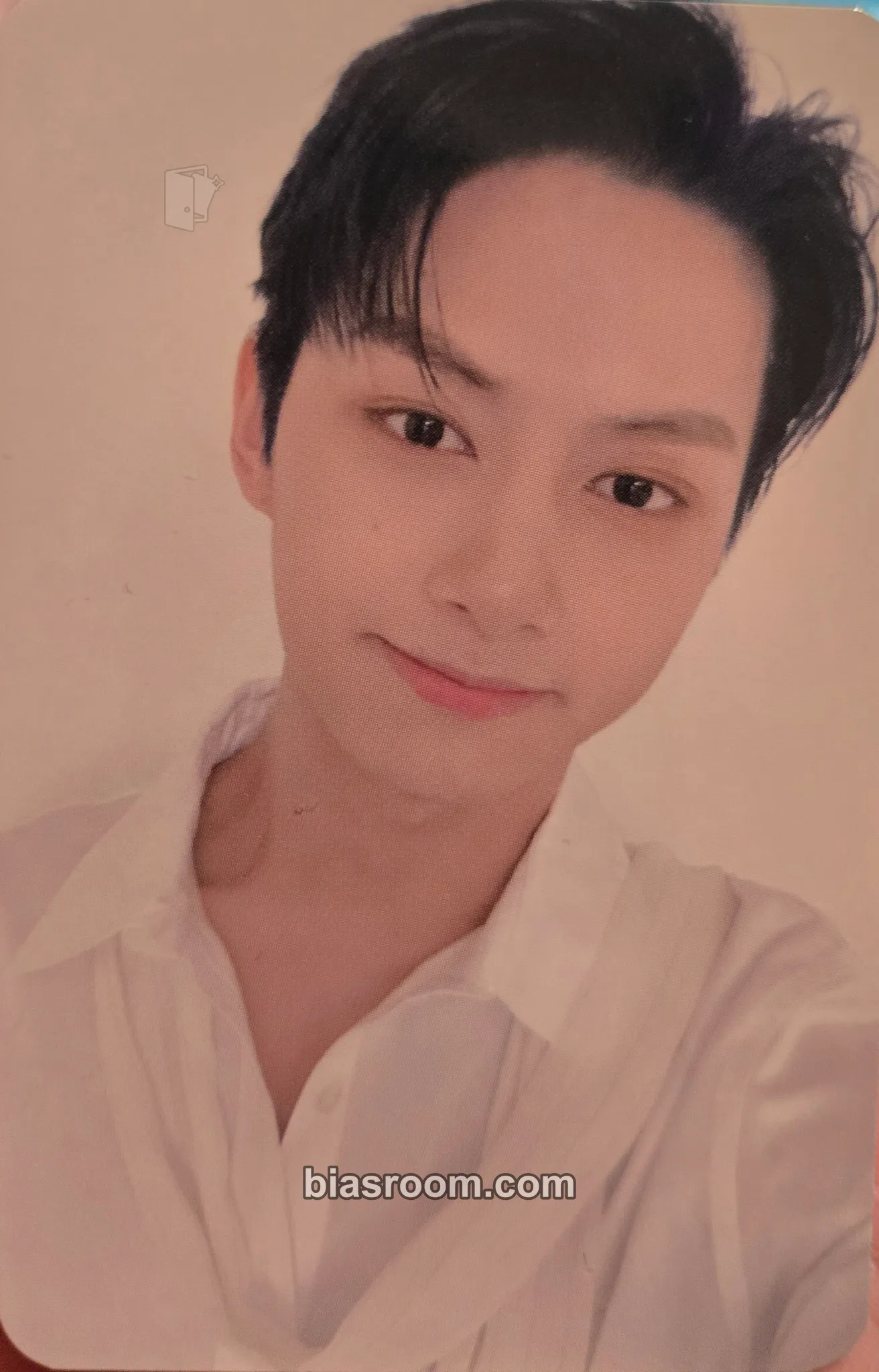Jun Your Choice Photocard - SEVENTEEN - SEVENTEEN K-pop photocard