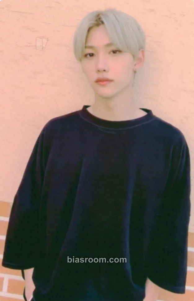 Felix GO LIVE Photocard - Stray Kids - Stray Kids K-pop photocard