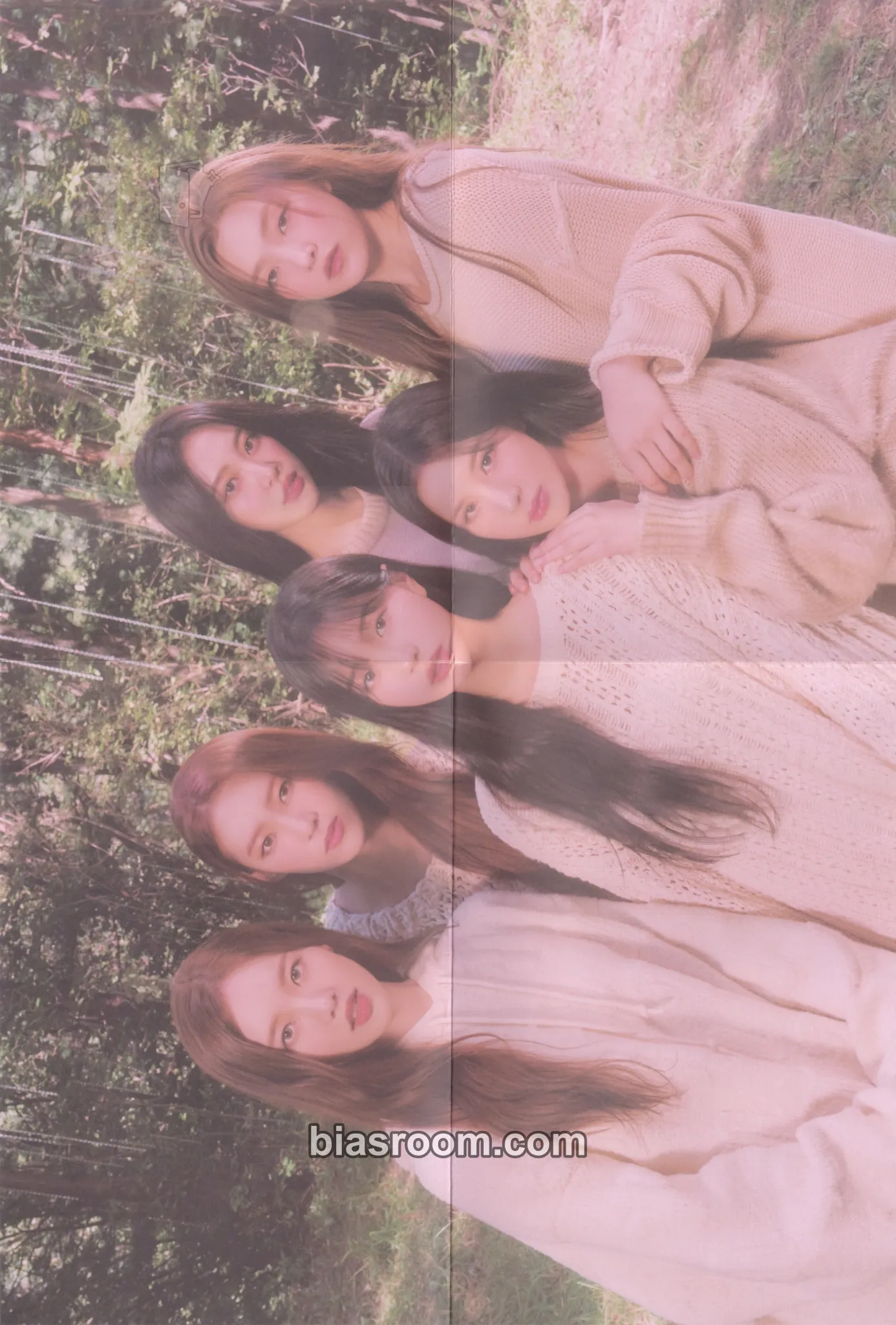 ColoRise Photocard - Weeekly - Weeekly K-pop photocard