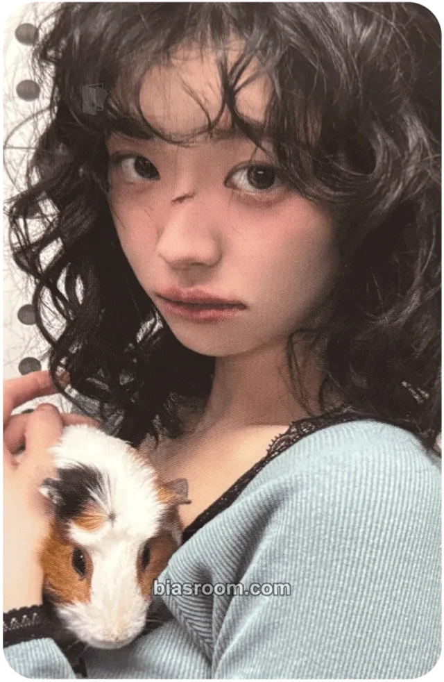 QWER - Chodan - In a Million Noises, I'll Be Your Harmony Album album photocard