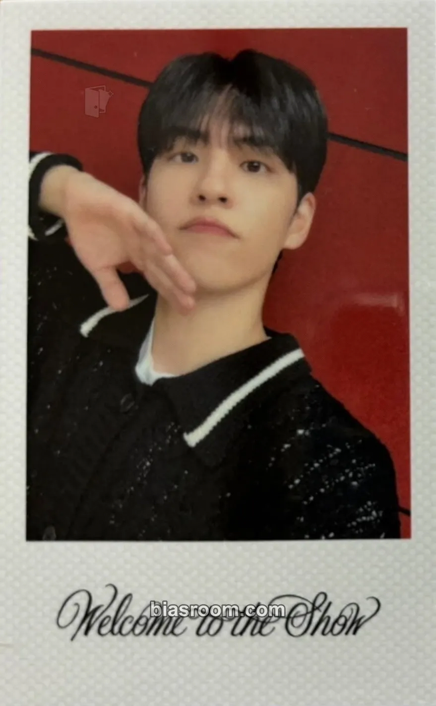 Wonpil Fourever Photocard - DAY6 - DAY6 K-pop photocard