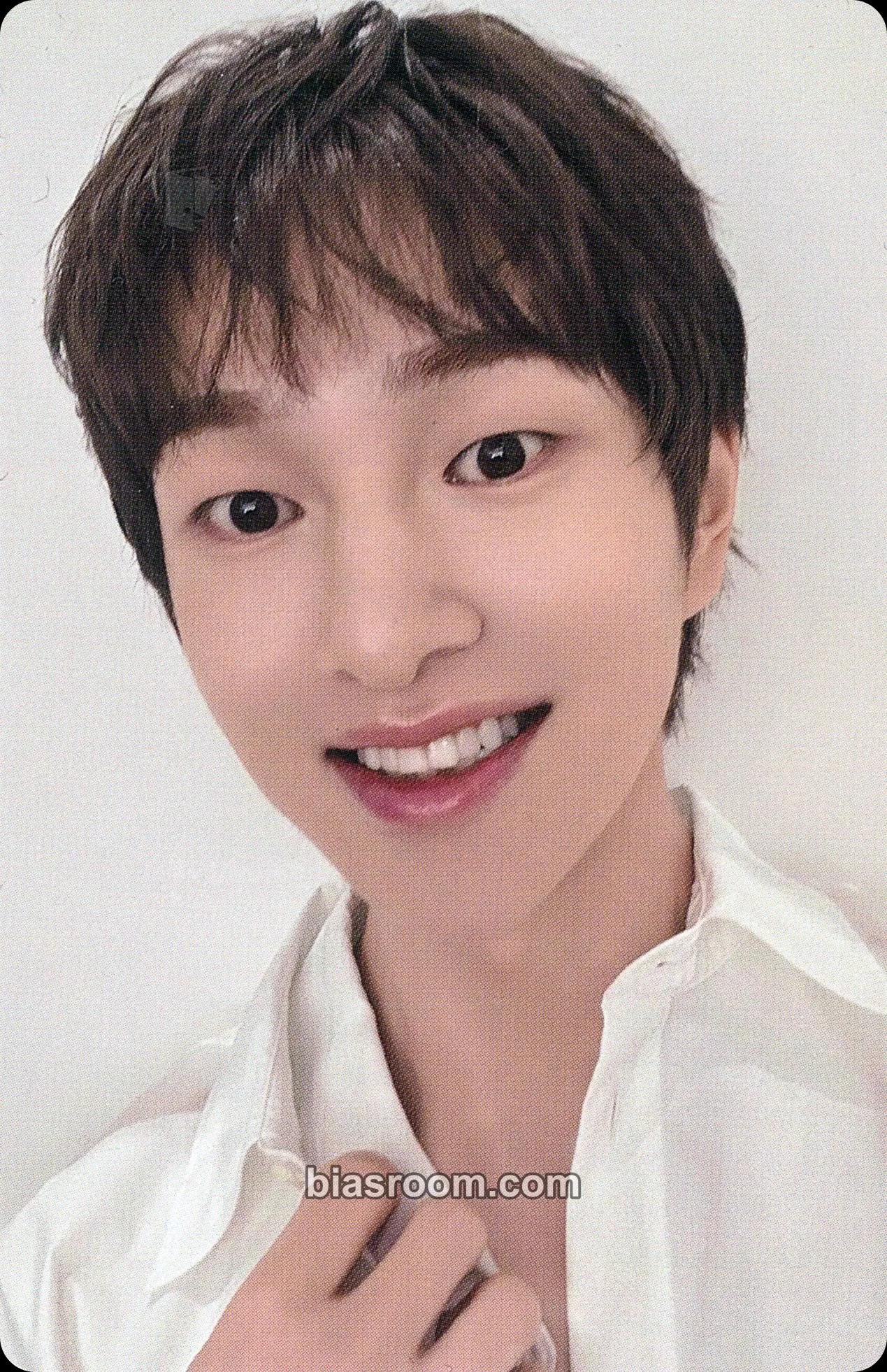 Onew SAKU Photocard - SHINee - SHINee K-pop photocard