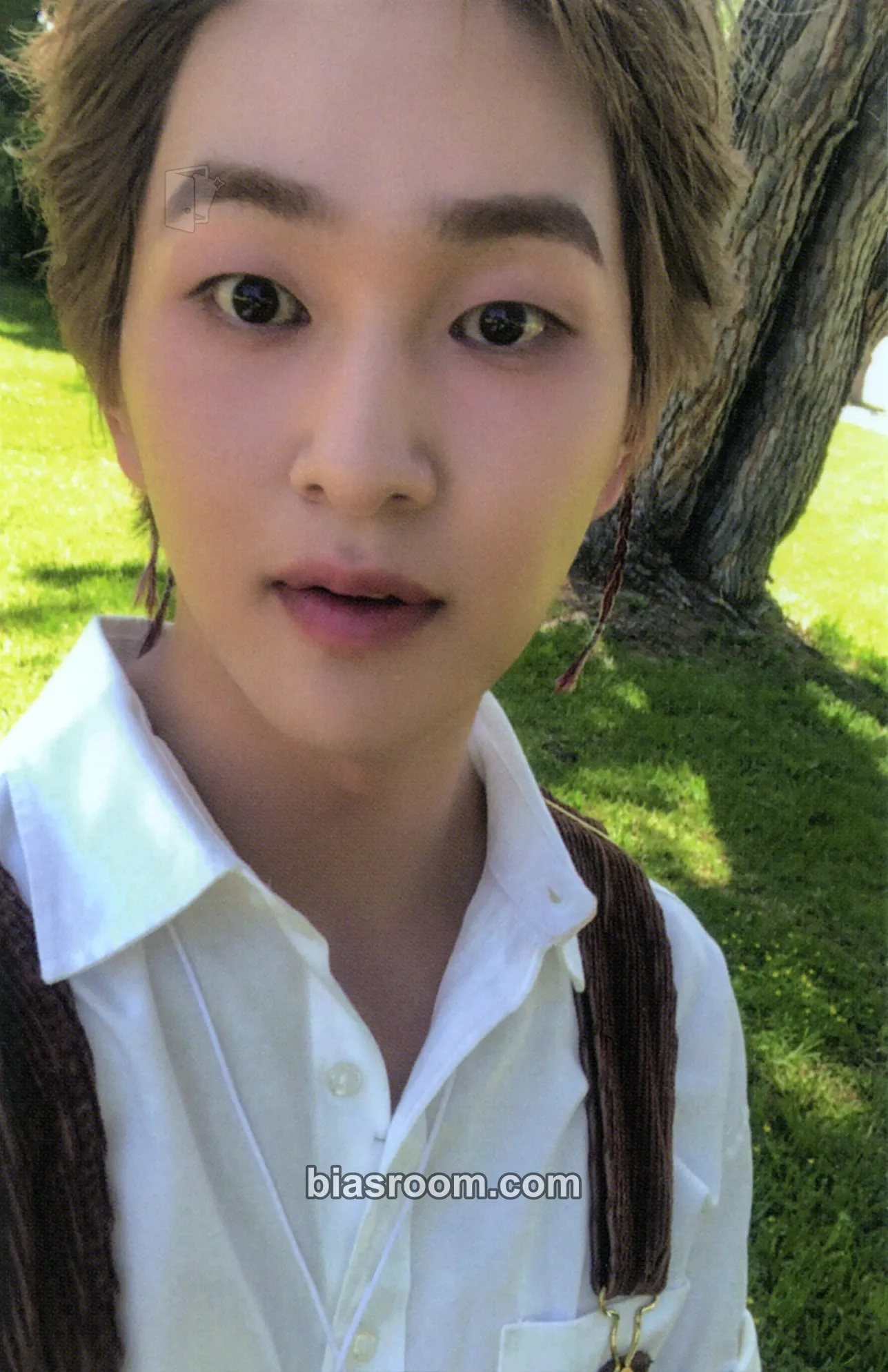 Onew PERCENT Photocard - SHINee - SHINee K-pop photocard