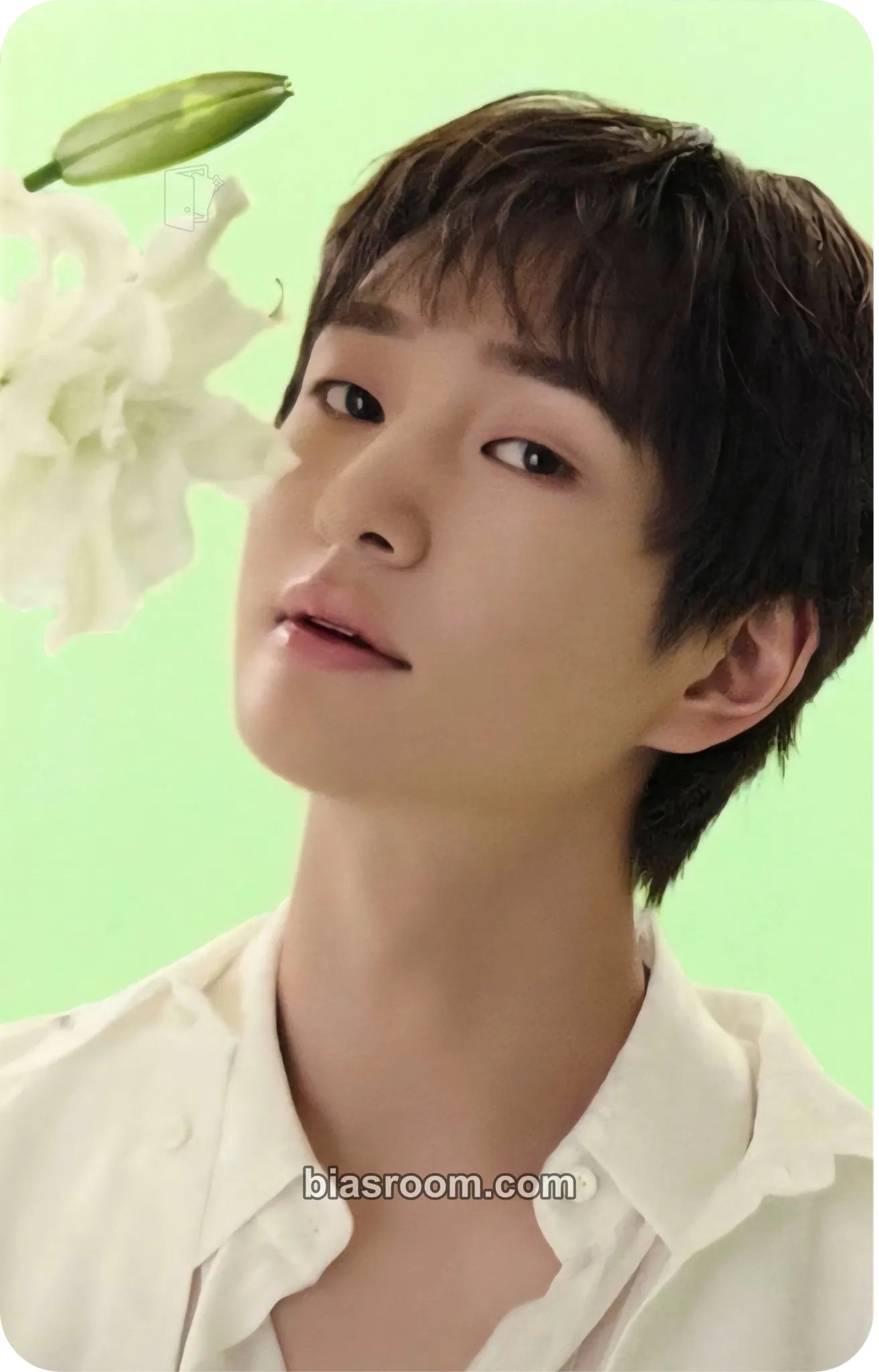 Onew SAKU Photocard - SHINee - SHINee K-pop photocard